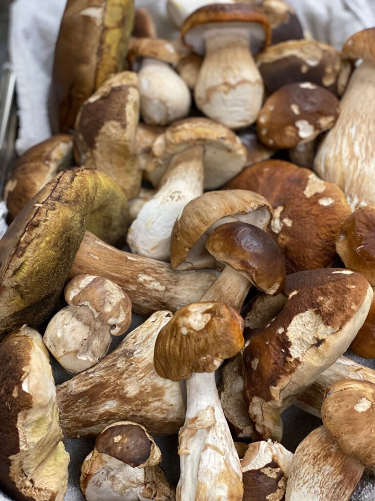Big Bite Catering mushrooms